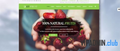 ET Fruit. Шаблон с говорящим названием для фруктовых компаний для Joomla 3.