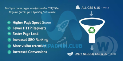 Asset CleanUp Pro: Page Speed Booster v1.1.8.6 NULLED