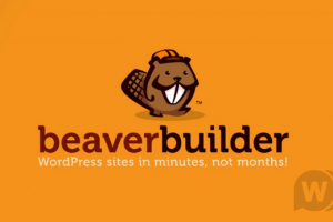 Beaver Builder Pro v2.4.2.3 - конструктор страниц для WordPress