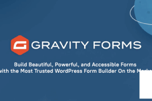 Gravity Forms v2.5.10.1 NULLED - создание форм на сайте WordPress