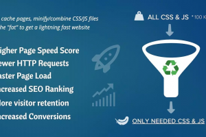 Asset CleanUp Pro: Page Speed Booster v1.2.0.1 NULLED
