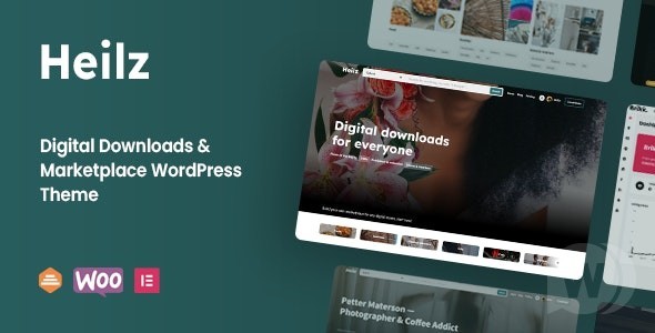 Heilz шаблон цифровых товаров WordPress
