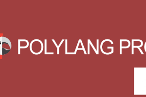 Polylang Pro v3.1.2 - плагин перевода WordPress