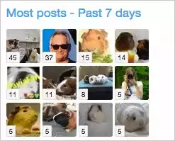 Most posts 1.7