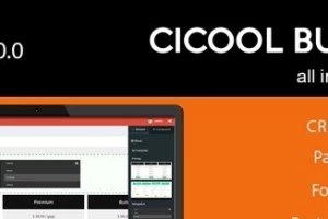 Cicool v3.3.1 - конструктор форм, страниц, API