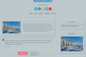 Neumorphic - Шаблон для WordPress