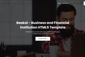 Beakai 1.0 - HTML шаблон для любого проекта компании