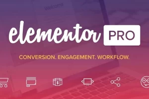 Elementor PRO v3.6.0 – конструктор страниц WordPress