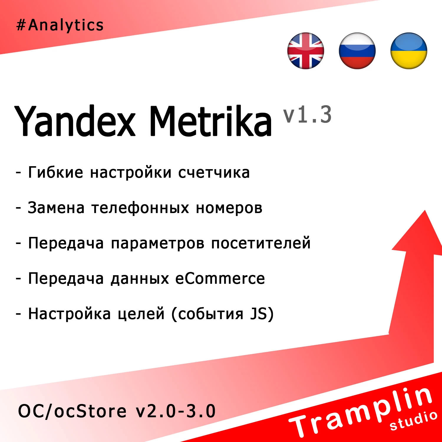 TS Yandex Metrika